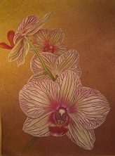 Pam's Petals